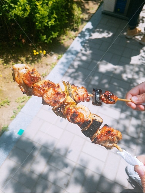 닭꼬치,간식,먹거리,길거리음식,음식