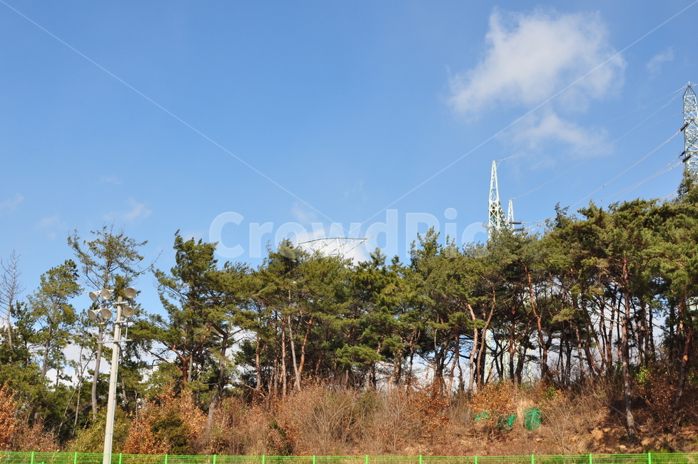 하늘,나무,tree,식물,plant,파란색,초록색,풍경,경치,구름,cloud,배경,배경화면,배경이미지,사진,이미지