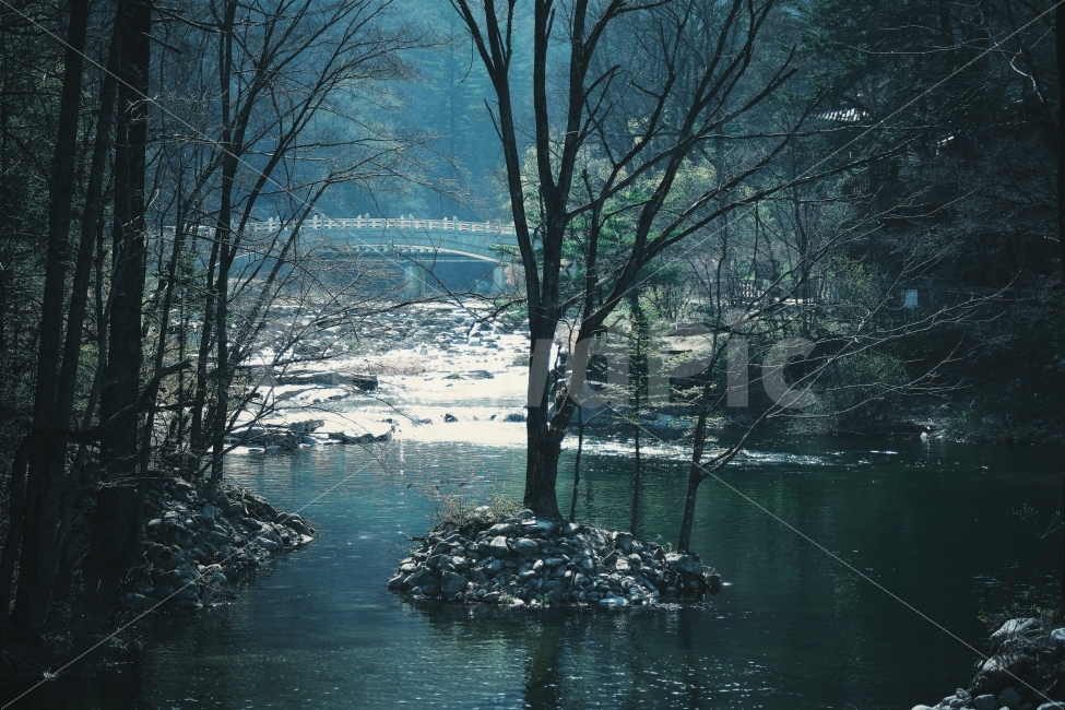 한국,자연,풍경,경관,월정사,고요,겨울,산사,숲,강,새,아침,풍광,nature,landscape,한국자연풍경,한자연경관,koreanaturelandscape,감성,감정,sensible,feeling,emotion,계절,season,마을,rural,한국전통,한국문화,koreatraditional,koreaculture,plant,나무,trees,wood,자연,풍경,nature,landscape,한국자연풍경,한국자연경관,korea nature landscape,식물,plants,나무,trees,wood,감성,sensible,feeling,water,물,outdoors,옥외