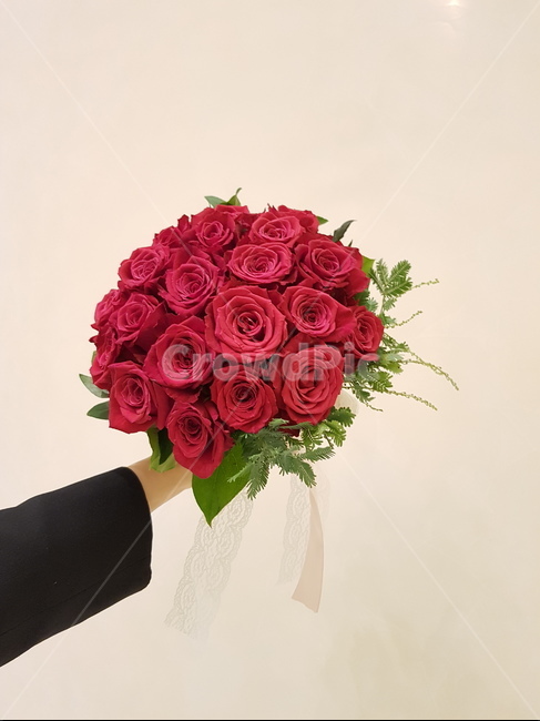 부케,꽃,꽃다발,장미,빨간장미,식물,plant,꽃,flower