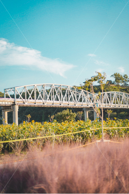 다리,하늘,건물,bridge,building,감성,풍경,가을,계절,fall,autumn,season
