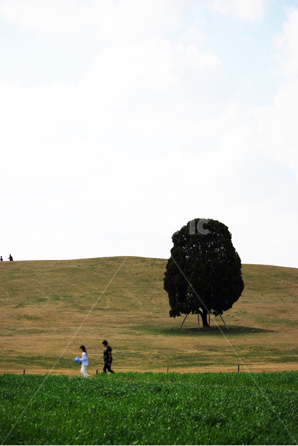 봄,나들이,나무,들판,공원,자연,여름,계절,아이들,평화로움,바람,spring,tree,feild,park,nature,summer,season,children,peaceful,자연,풍경,nature,landscape,식물,plants,나무,trees,wood,사람들,대중,군중,other people,crowd,어린이,어린아이,child,children,kid,field,들,grassland,목초지,outdoors,옥외