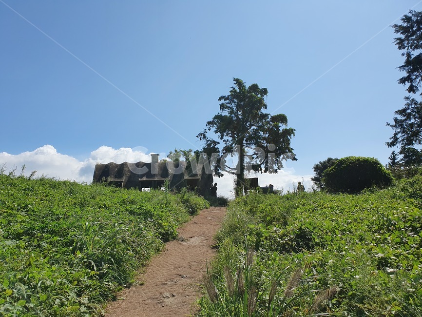 자연,outdoors,nature,제주,풍경,자연,풍경,nature,landscape,옥외