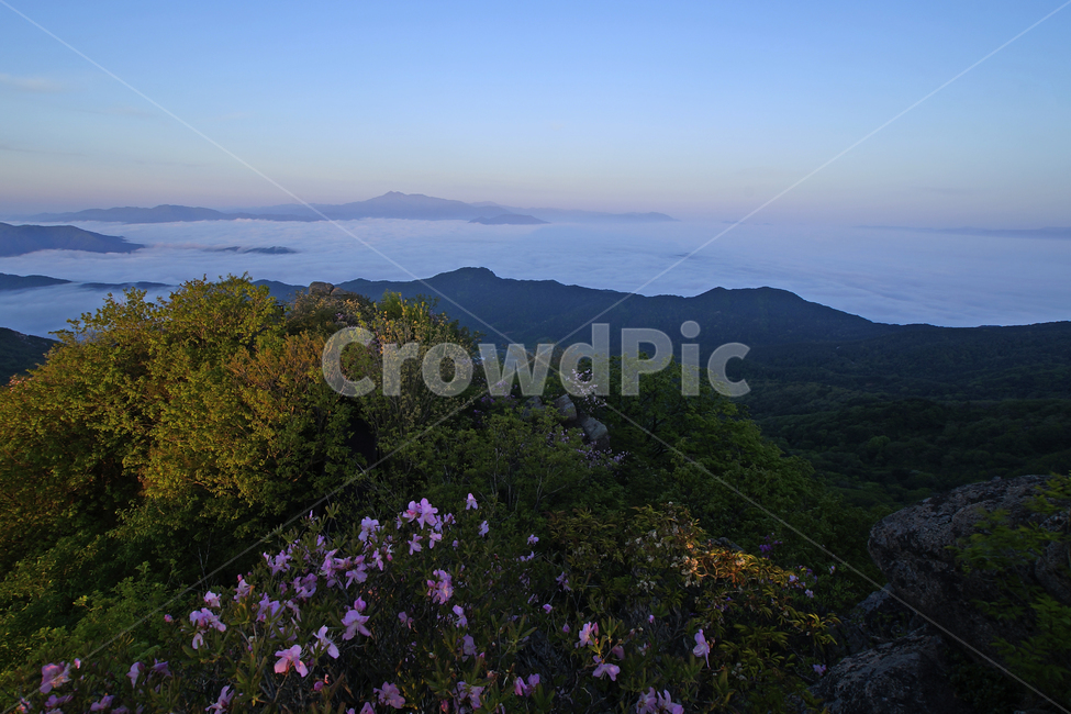 황매산,합천군,철쭉,풍경,산,자연,풍경,nature,landscape,outdoors,옥외