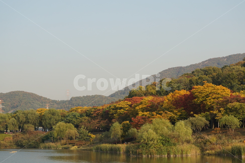 풍경,자연,숲,호수,가을,가을,계절,fall,autumn,season,자연,풍경,nature,landscape,outdoors,옥외,water,물