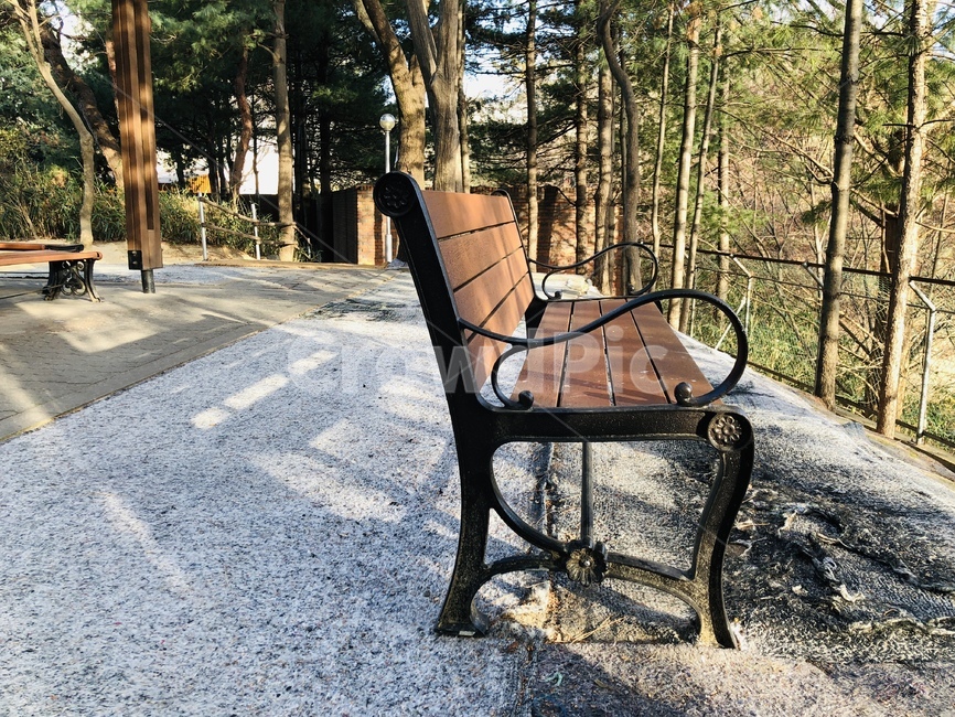 벤치,나무의자,의자,공원,햇빛,쉼터,한낮,가을,봄,좌석,사물,물건,오브젝트,thing,object,matter