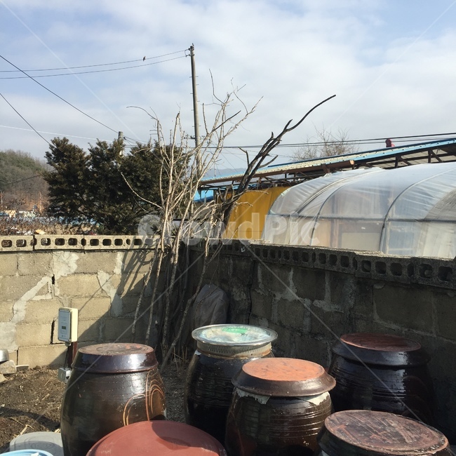 시골,시골풍경,장독대,색감,자연,자연적인