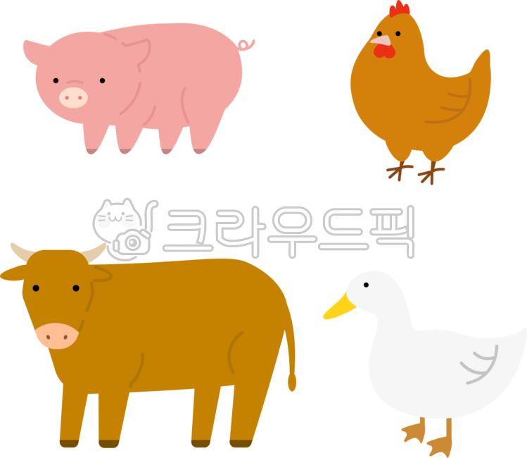 가축, 돼지, 동물, 농장, 소, 사진,이미지,일러스트,캘리그라피 - 안갱작가