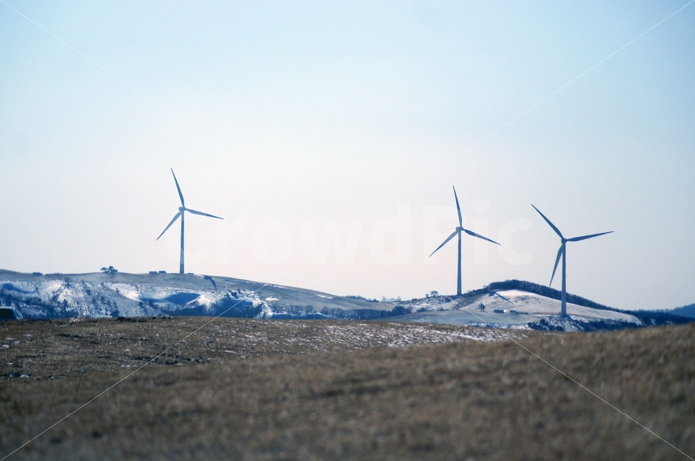 삼양목장,목장,풍력발전,강원도,풍경,자연,풍경,nature,landscape,산업,industry,industrial,에너지산업,energy industry,motor,모터,engine,엔진,machine,기계,wind turbine,풍력 터빈,turbine,터빈