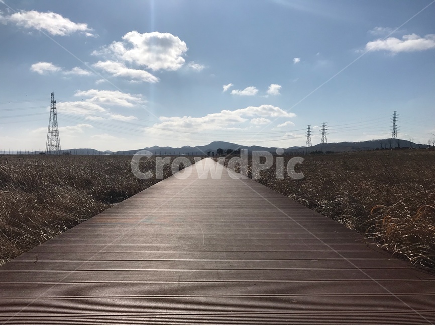 대부도,바다향기테마파크,풍경,갈대,길,공원,road,park,자연,풍경,nature,landscape,boardwalk,산책로,bridge,다리,building,건물