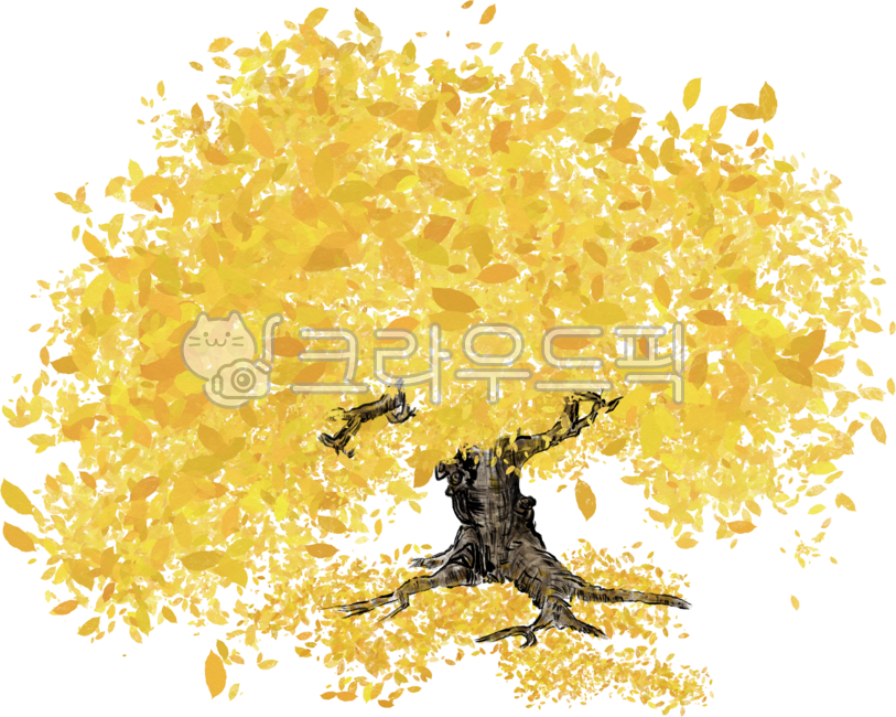 Ginkgo,money tree,tree,play with autumn leaves,Congratulations on opening the business,ginkgo leaves,fallen leaves,Maple tree,autumn,Maple