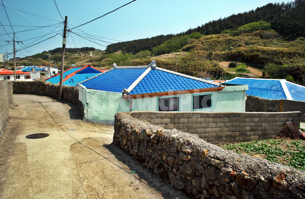 추자도,민가,마을,목리마을,하추자도,올레181코스,올레코스,제주,돌담,제주도,jeju,jeju island,시골,마을,풍경,landscape,country,rural,town,roof,지붕