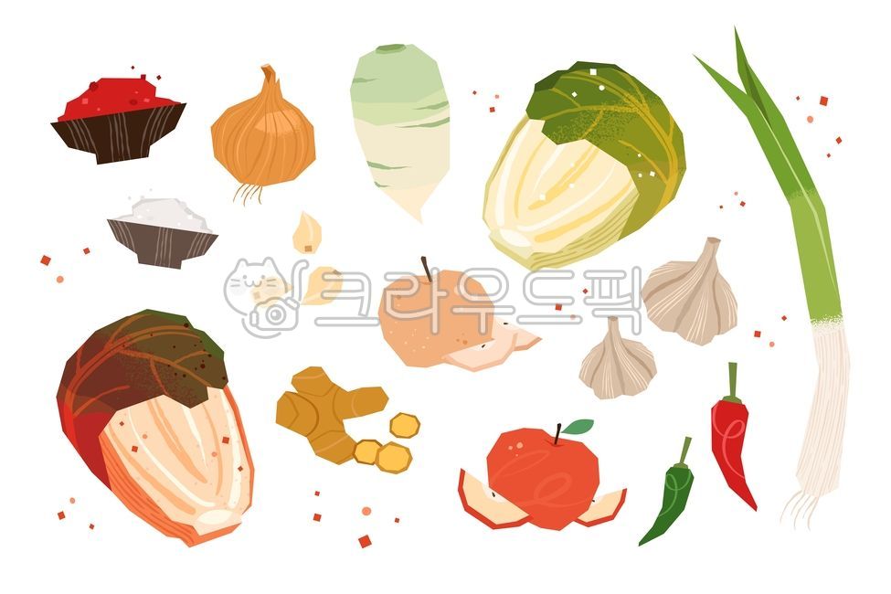 cabbage,onion,radish,icon,green onion,fermented food,red pepper powder,cabbage kimchi,apple,pickled cabbage,pear,design,ingredients,vector,Korea,garlic,Kimchi,salt,kimchi,Cheongyang pepper,cuisine,food,ginger,plant,illustration,traditional food