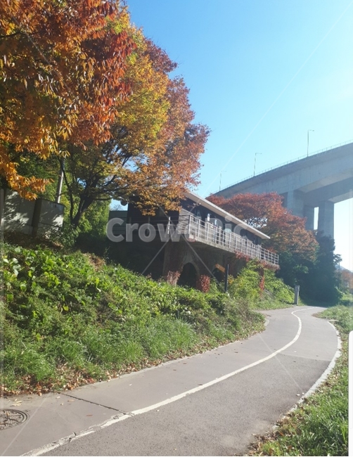 계절,청춘,활력,기쁨,생각,희망