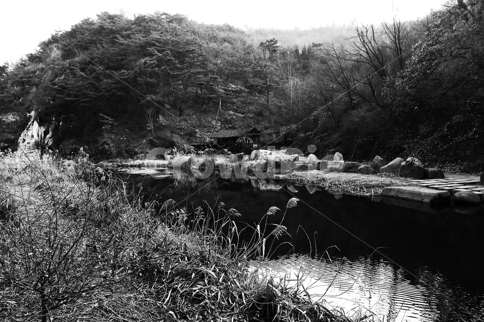 물레방아,지붕,겨울,억새,하천,홍제천,흑백사진,모노톤,FlameGrass,silvergrass,monotone,bw,watermill,자연,풍경,nature,landscape,흑백,모노톤,monochrome,black and white,water,물,outdoors,옥외