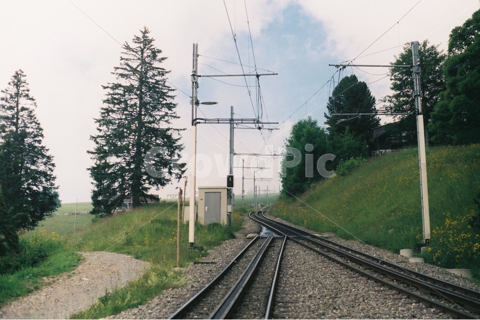 기찻길,자연,기차,train,railroad,스위스