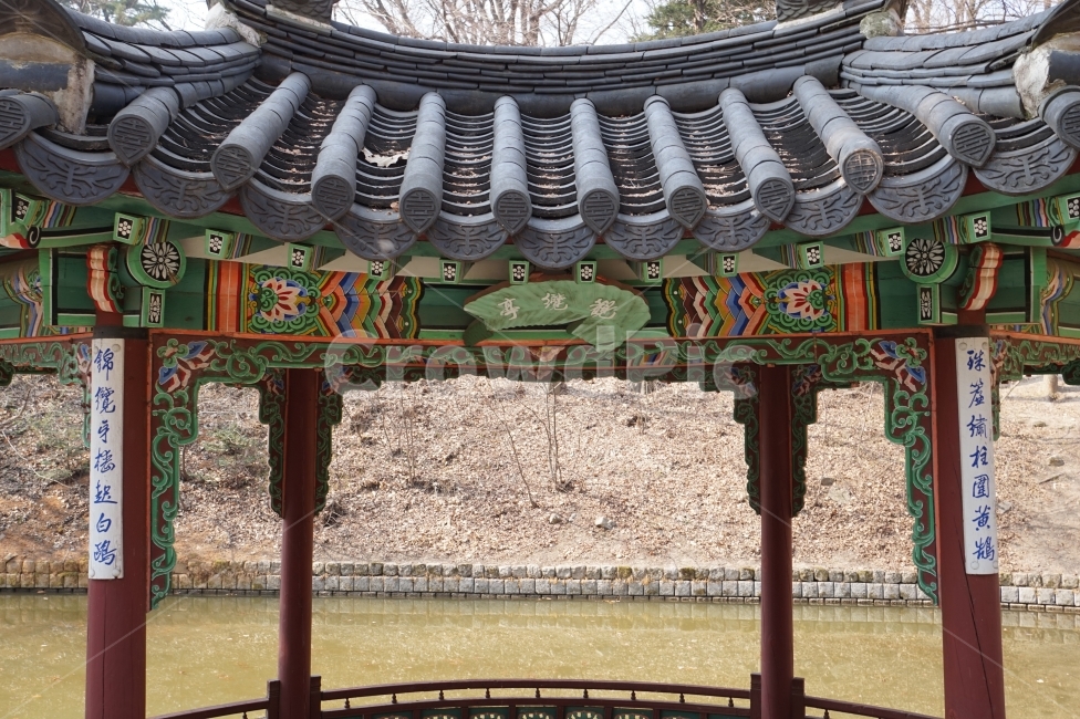 창덕궁,후원,비림,관람정,정자,문화재,문화유산,한국전통,한국문화,korean traditional,korean culture,건축물,건물외관,exterior,building,structure,architecture,construction