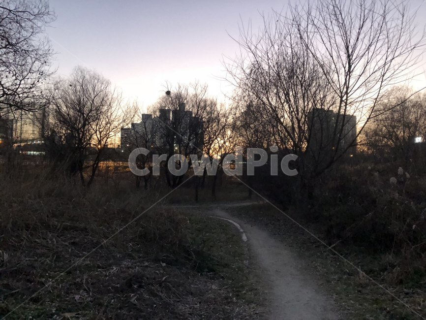 여의도,한강공원,서울,한강,공원,sky,park,sunset,자연,풍경,nature,landscape