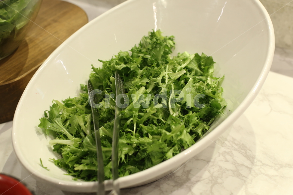 치커리,야채,샐러드,음식,뷔페,음식,식재료,요리,food,cook,meal,dishes,food reserves,채소,야채,vegetables