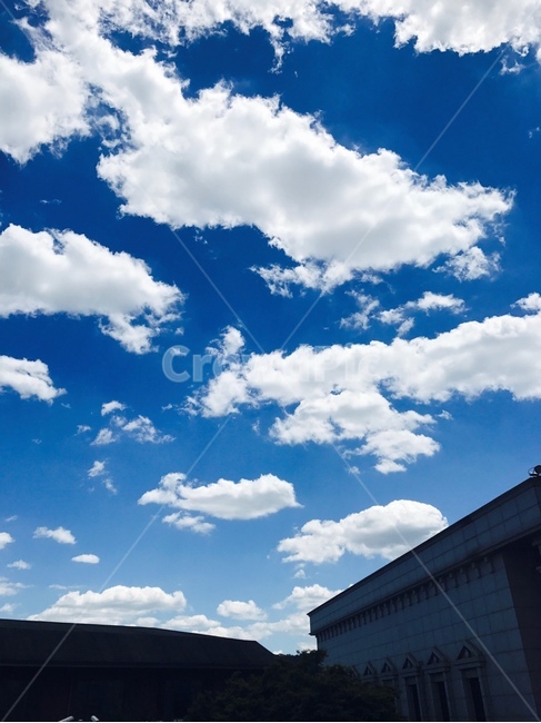 구름,하늘,파란하늘,푸른하늘,cloud