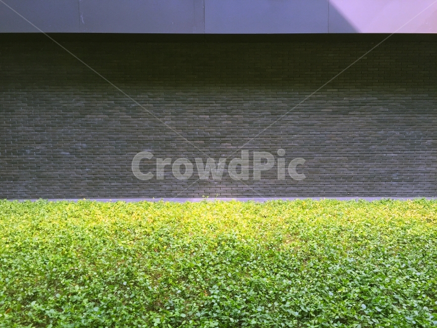 architecture,wall,brick,grass,spring,urban,city,건물,외벽,잔디,도시,풍경,벽돌,건축물,건물외관,exterior,building,structure,architecture,construction