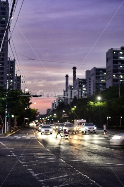 노을,횡단보도,여름,대구광역시,신호대기,야경,밤,풍경,nightscape,night,landscape,도시,city,한국도시풍경,한국도시경관,korea cityscape,교통,교통수단,traffic,transportation,road,도로,asphalt,아스팔트,car,차,vehicle,차량,automobile,자동차