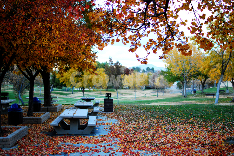 낙엽,가을,fall,공원,벤치