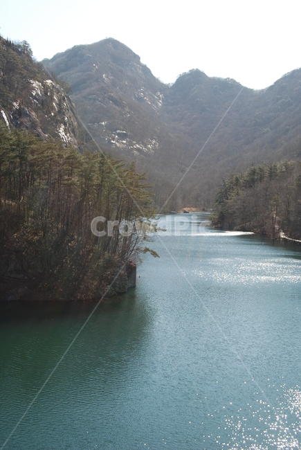 나무,자연,mountain,river,강,자연,풍경,nature,landscape,한국자연풍경,한국자연경관,korea nature landscape,water,물,outdoors,옥외