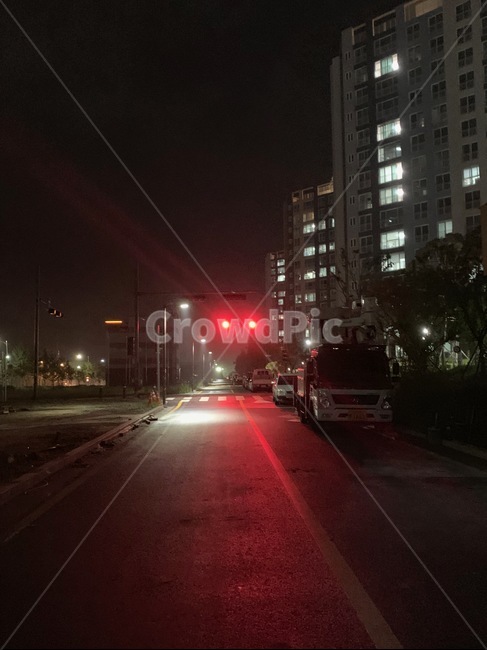 가로등,신호등,밤,도로,새벽