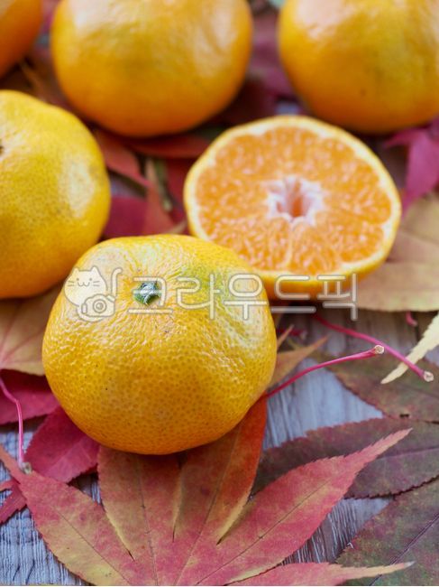 mandarin,citrus fruits,tangerine,jejutangerine,Jeju Island Specialties,fruit,yellow,leaf,Orange,food,tangerines,citrusfruit,Maple leaf,sliced,leaves,jejuislandspecialties,autumn,Jeju tangerines