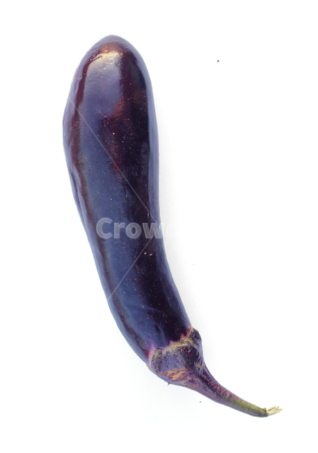 가지,야채,채소,보라색,보라,퍼플,식재료,음식,식물,열매,흰배경,food,vegetables,eggplant,aubergine,violet,purple,음식,식재료,요리,food,cook,meal,dishes,food reserves,채소,야채,vegetables,누끼,remove background
