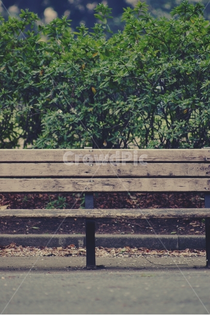 공원,나무의자,나무,의자,wood,park,chair,감성,sensible,feeling
