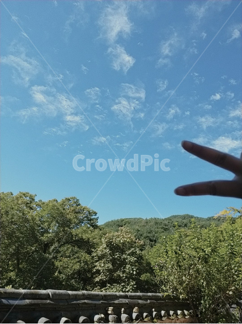 outdoors,옥외,nature,자연,담장,하늘,나무,tree,담,기와,담벼락,초록,파랑,구름,흙,돌,손,브이,여자손,여자,person,사람,human,인간