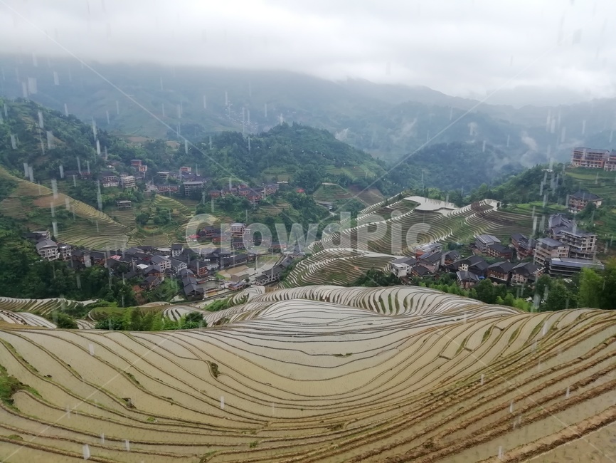 다락논,라이스필드,금갱대채,금불정,계림,용적제전,다랭이논,자연,풍경,nature,landscape,농업,농사,agriculture,farming,farming industry,outdoors,옥외,scenery,경치,aerial view,조감도