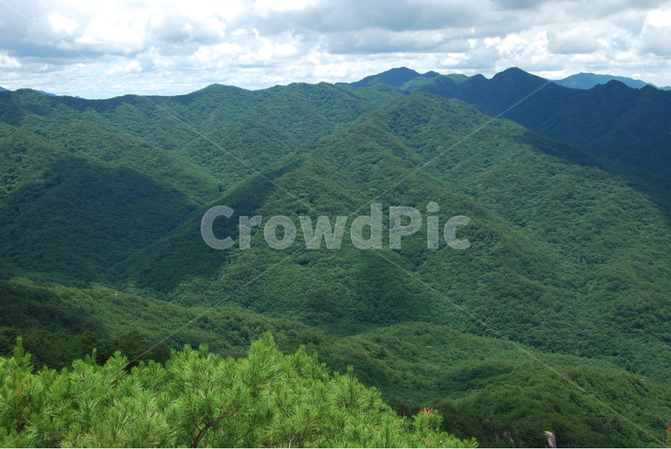 산,나무,돌,자연,하늘,구름,자연,풍경,nature,landscape,outdoors,옥외,slope,경사,hill,언덕