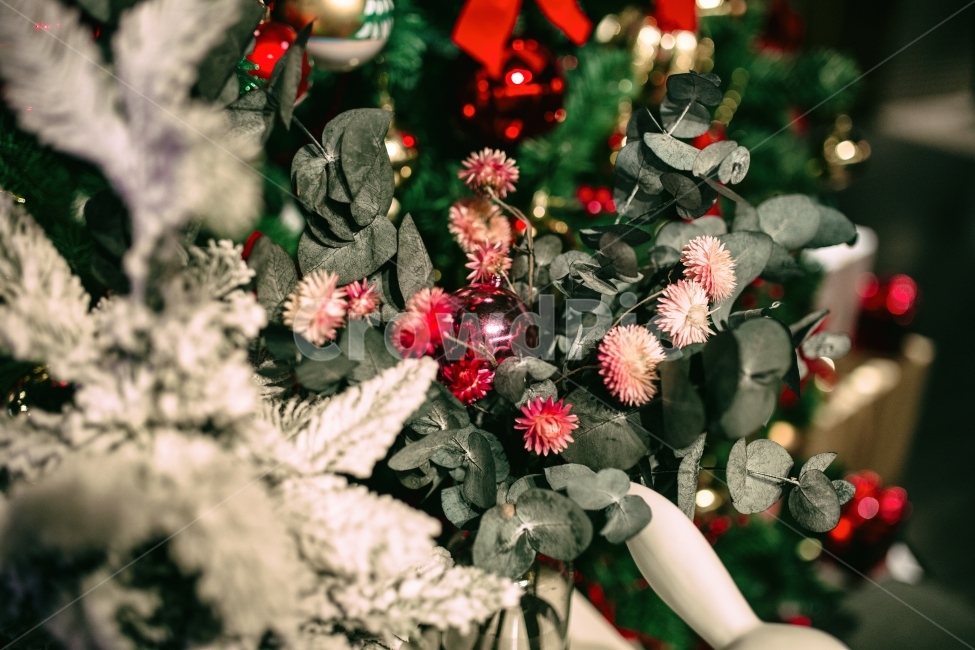 크리스마스,메리크리스마스,겨울,성탄절,merry,christmas,winter,snow,행운,제주,빨강,red,정열,열정,감성,감성사진,리본,장식,크리스마스장식,데코,데코레이션,겨울,계절,winter,season,기념일,축하,anniversary,congratulation,celebrate,celebration,메리크리스마스,성탄절,merry christmas,감성,sensible,feeling,사물,물건,오브젝트,thing,object,matter