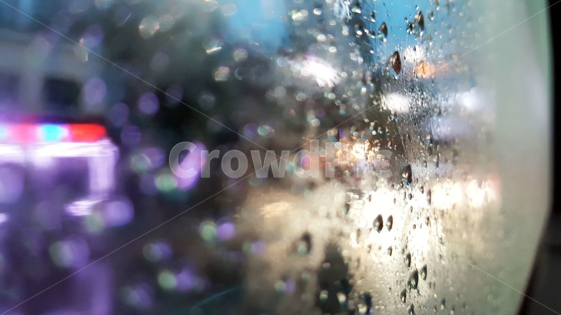 비,버스,창문,창가,풍경,일상,빗방울,비,비오는날,rain,rainy