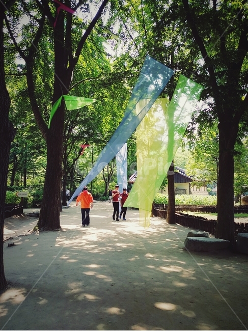 천,한국민속촌,여름,풍경,힐링