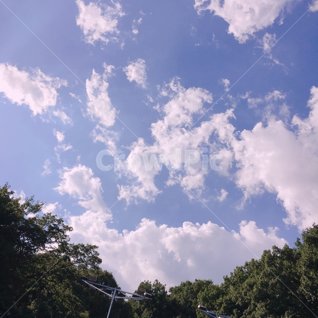 sky,하늘,봄,숲,맑은하늘