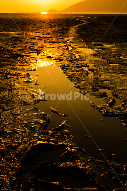 일몰,순천,해변,갯벌,갯벌작업장,솔섬,자연,풍경,nature,landscape,outdoors,옥외,flare,플레어,light,빛