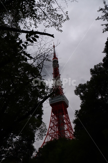 건축물,건물,탑,뾰족한탑,tower,도쿄타워,landmark,랜드마크,일본,일본랜드마크,japan,도쿄,tokyo,랜드마크,landmark,tourist attraction,세계랜드마크,해외랜드마크,외국랜드마크,world landmark,world tourist attraction,building,architecture,steeple,뾰족한 탑,spire,첨탑