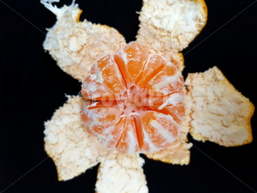 귤,과일,fruit,orange,tangerine,탠저린,클레멘타인,clementine,사츠마,satsuma,오렌지,감귤,껍질,귤껍질,제철과일,겨울제철과일,겨울과일,식품,식자재,식재료,누끼,사물,오브젝트,object,음식,식재료,요리,food,cook,meal,dishes,food reserves,과일,열매,fruit