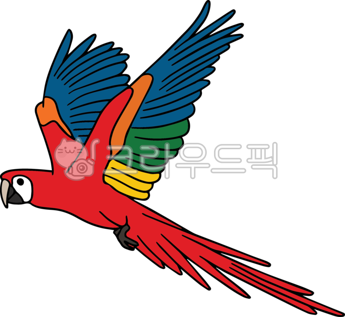 앵무새,앵무새일러스트,앵무새색칠도안,새색칠도안,색칠도안,동물색칠도안,어린이집교안,색칠공부,bird