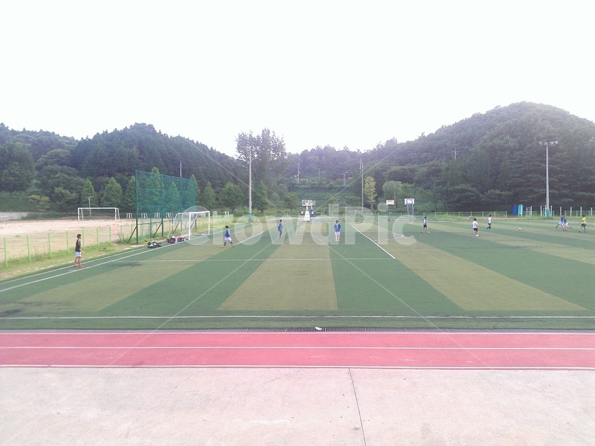 운동,축구,고등학교,잔디구장,스포츠,남자,축구장