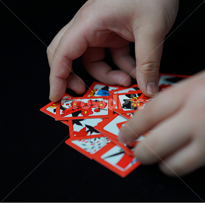 화투,화투패,고스톱,한국전통,도박,게임,놀이,손가락,하나후다,한국전통,한국문화,korean traditional,korean culture,사람,인물,인간,human,person,신체일부,몸,body,게임,오락,놀이,game,play