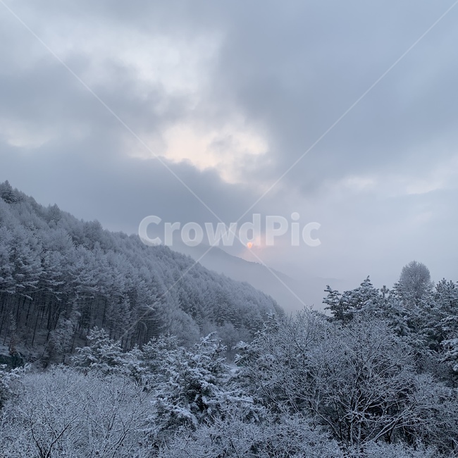 겨울,눈,풍경,자연,스키장,겨울,계절,winter,season