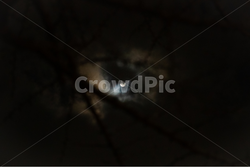 background,black,desolate,branch,calm,cloud,darkness,fear,fullmoon,depression,light,moon,mysterious,night,pitchblack,coarsetexture,silence,sky,twinkling,creepy,suspicious,terriblenightsky,sparse,treesdisappearing,nature,outdoordark,배경,검정색,황량함,나뭇가지,고요함,구름,흐림,어둠,두려움,보름달,우울함,빛,달,달빛,신비함,밤,칠흑같이어두운,거친질감,침묵,하늘,반짝임,섬뜩함,의심,끔찍한밤하늘,희박함,나무,사라짐,자연,옥외,어두운