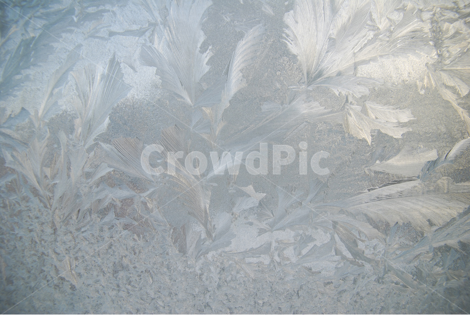 ice,빙,nature,자연,outdoors,유리창얼음,얼음