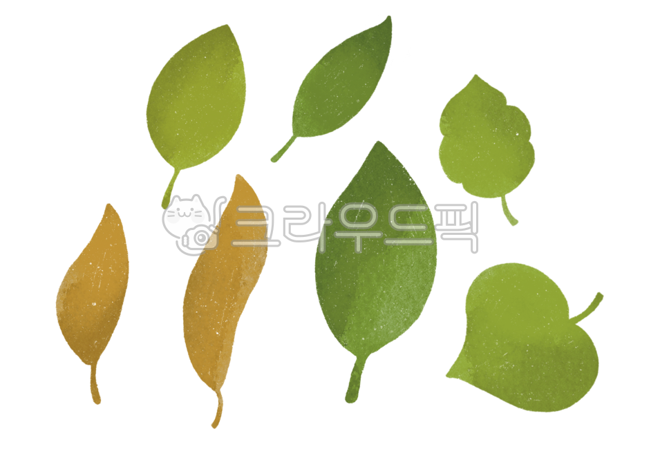 green,leaves,painting,hand drawing,plant,tree,illustration,leaf,State of the Union