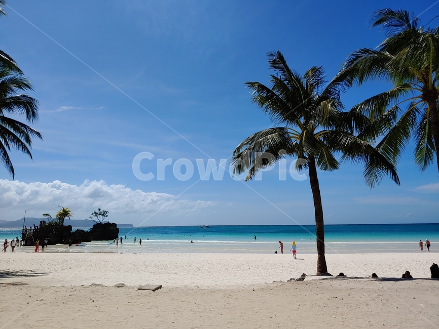 summer,여름,바다,sea,야자수,해변,beach,sky,하늘,자연,풍경,nature,landscape